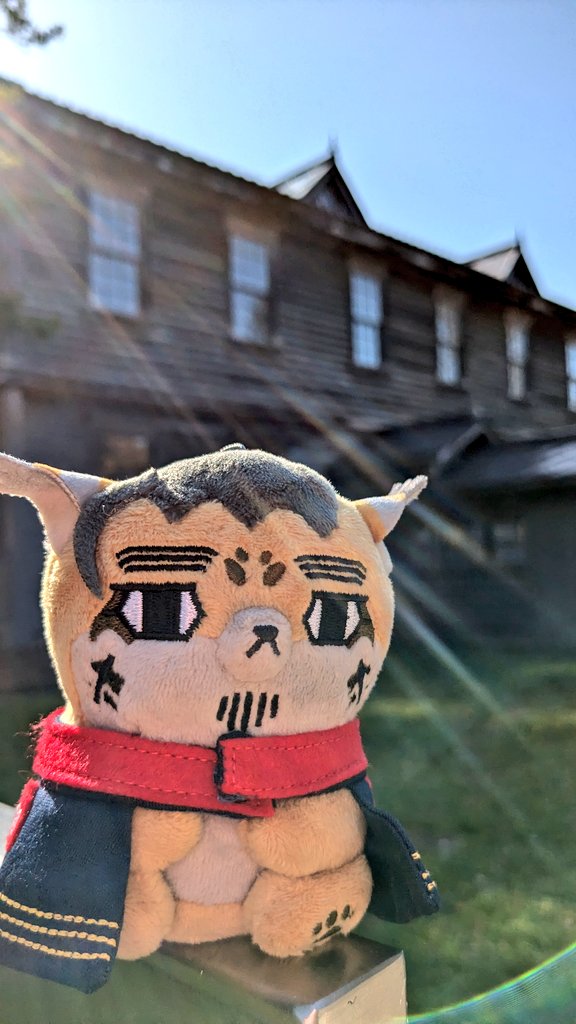 おテイ tweet media