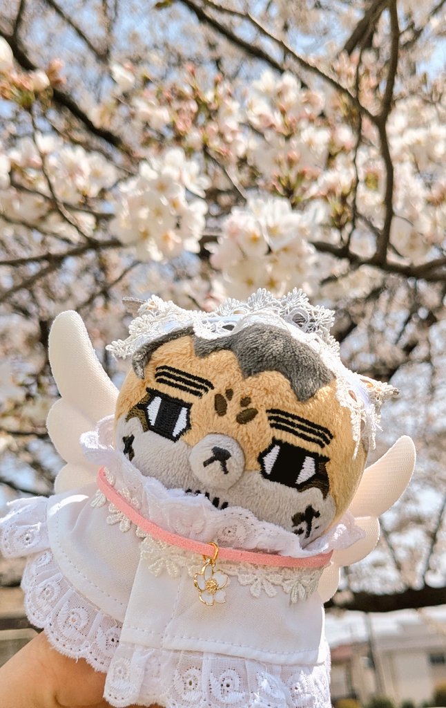 おテイ tweet media