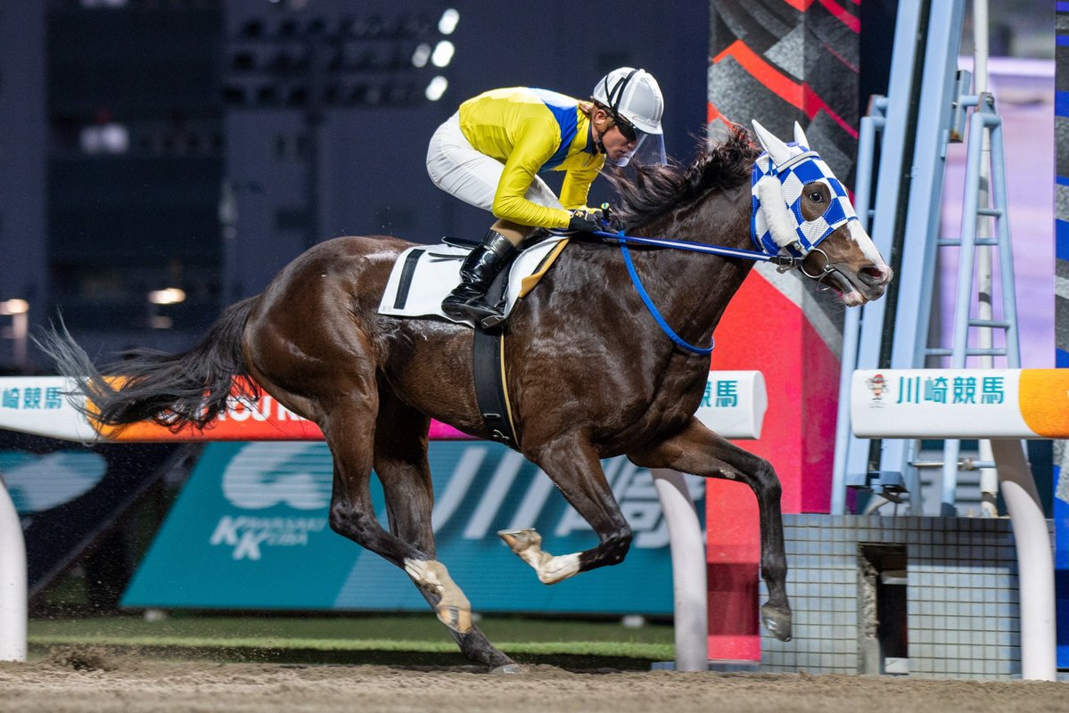 浦和競馬 tweet media