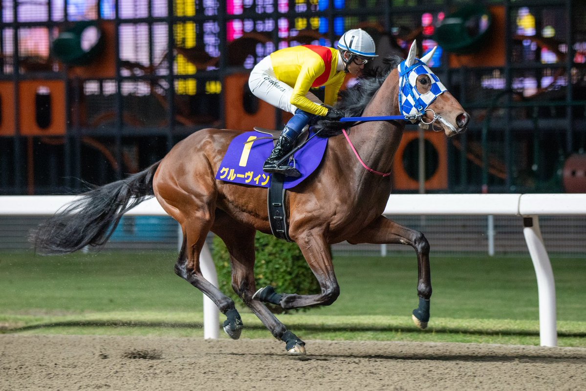 浦和競馬 tweet media