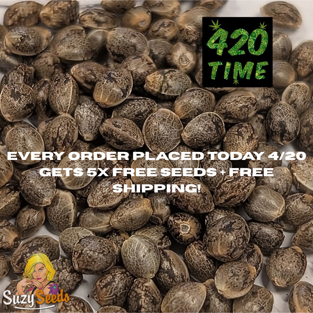 It’s 4/20, so we’re being extra nice today. Free pack of 5 seeds of your choice with every order + free shipping. Just order and let us know which ones you want. See you in the garden! 🌱suzyseeds.com