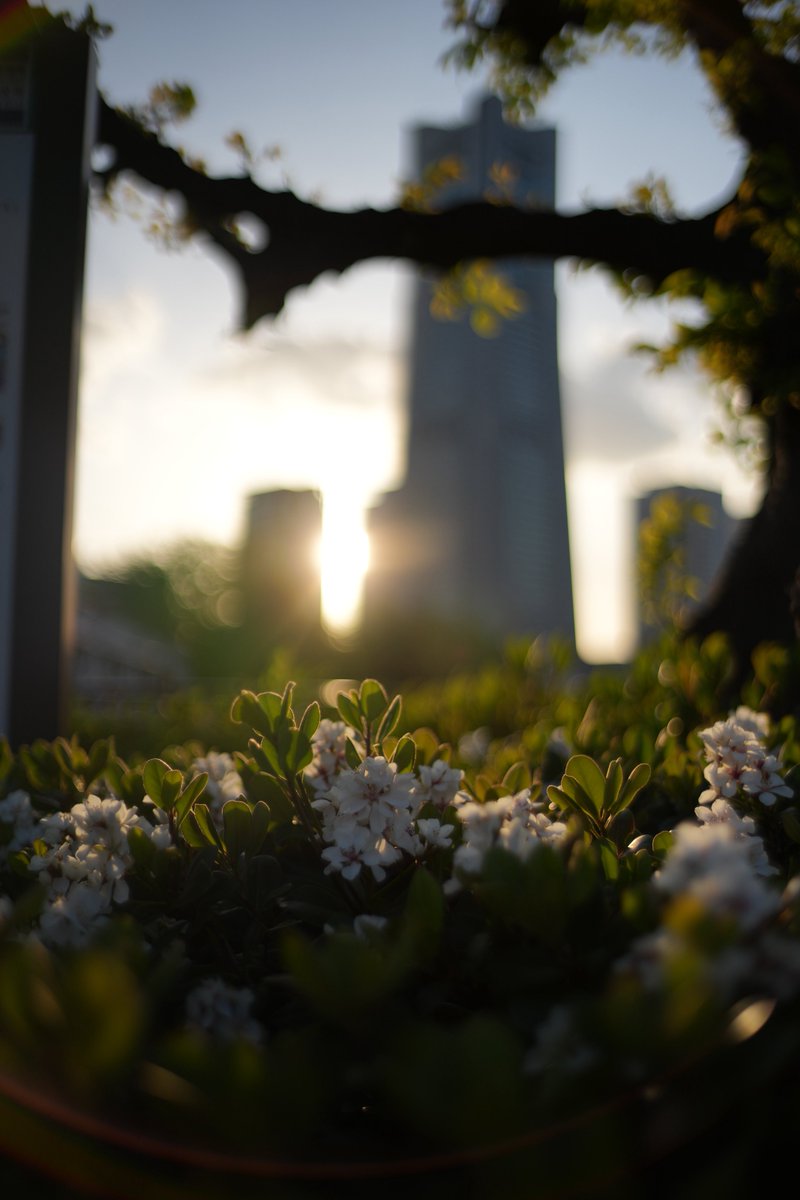 モンちやんんん tweet media