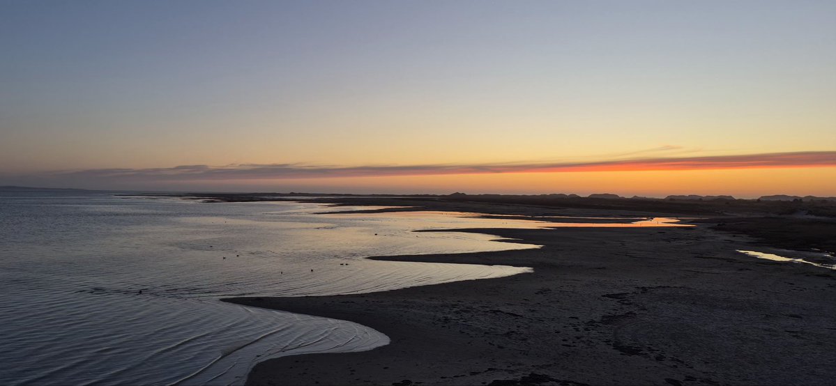 Simoon 🇳🇱🇪🇺🏴󠁧󠁢󠁷󠁬󠁳󠁿 tweet media