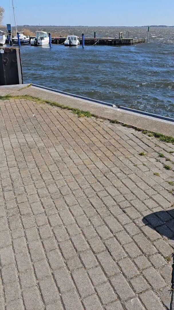 Hiddensee Forum tweet media