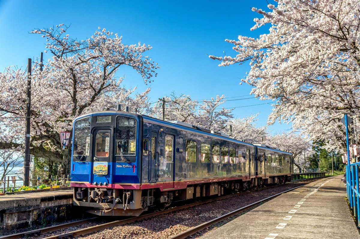 シュウ tweet media