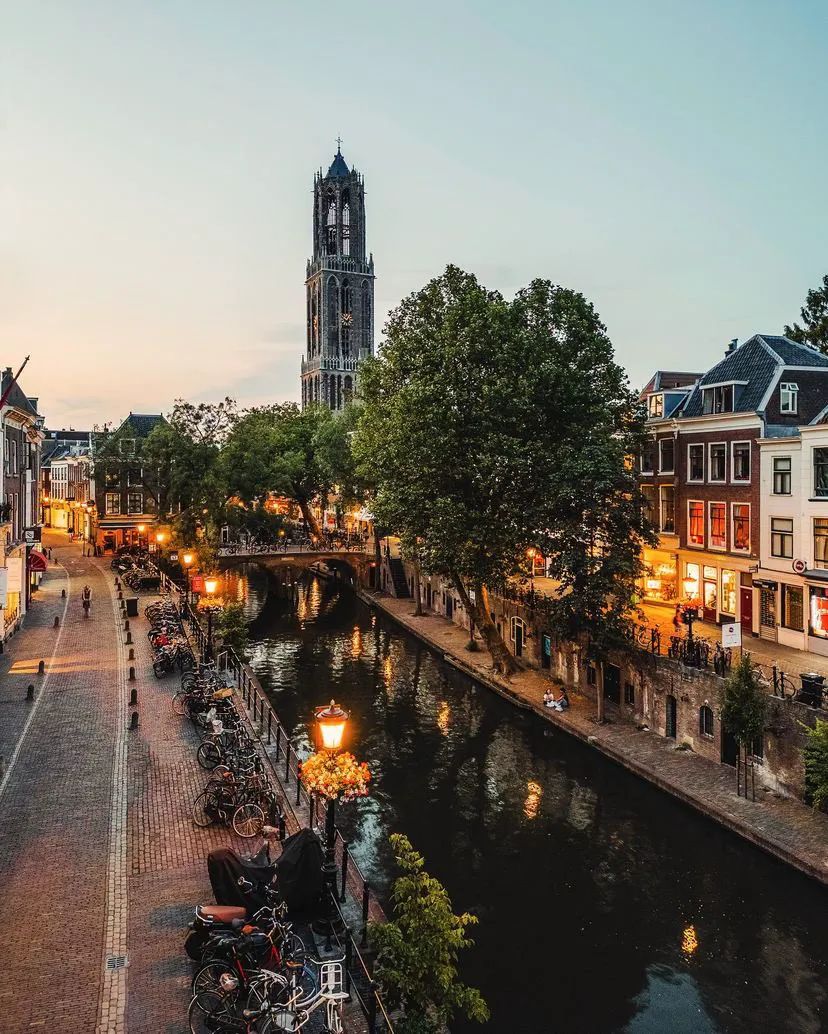 MozartCultures tweet media