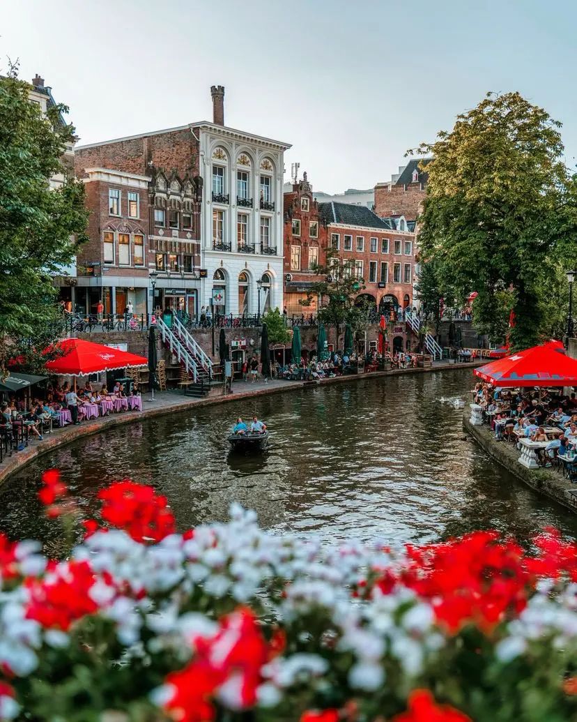 MozartCultures tweet media