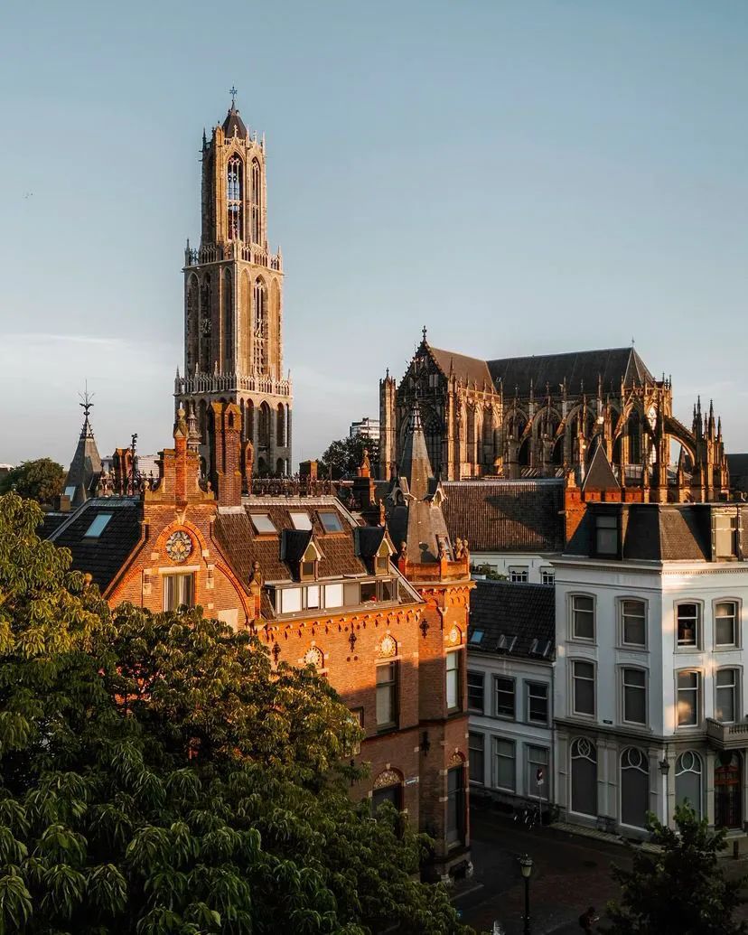 MozartCultures tweet media