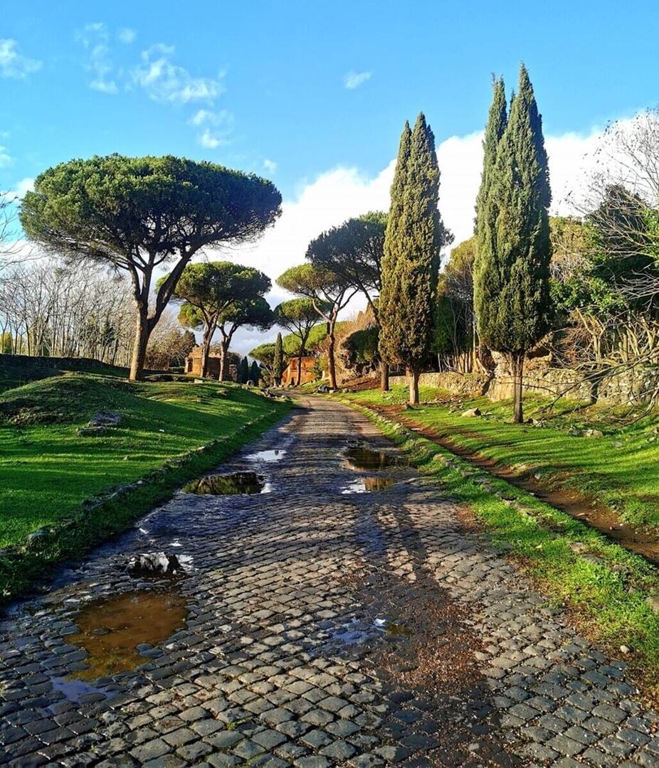 Roma Today tweet media