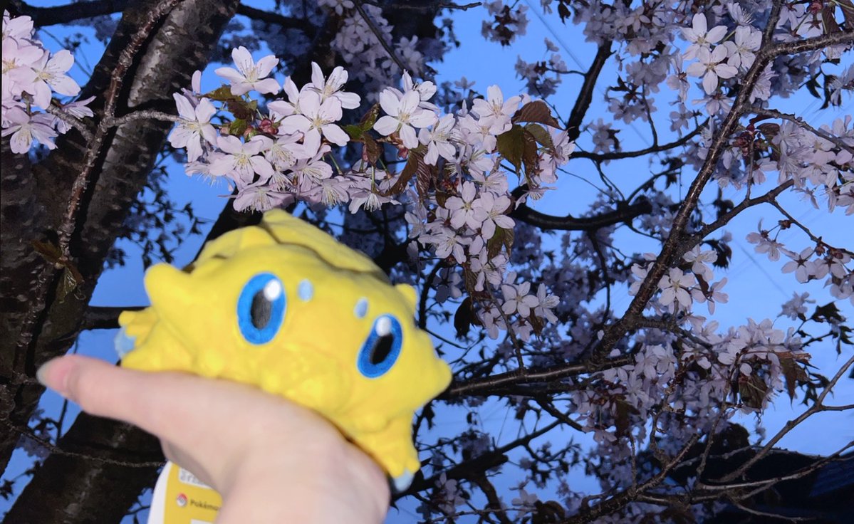 みみんがみ 札a！両日 tweet media