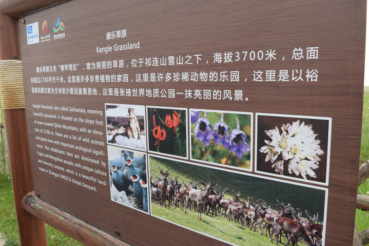 GERiLAB12's tweet photo. Kangle Grassland is among the most well-known grasslands in China, covering an area of about 1,786 square kilometers. It features several notable attractions including the Danxia Landform Scenic Area, Machangtan Grassland, Kangle Monastery, and the Snow Mountain Exploration Area https://t.co/J5GvroG08o