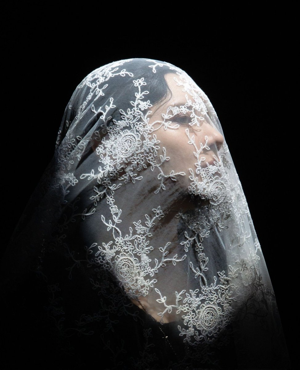 Lee Ann 🐳🐥 tweet media