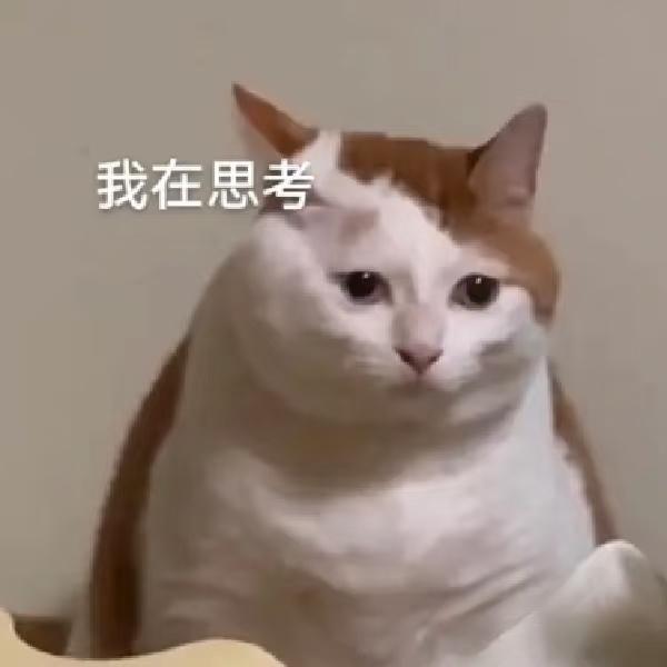 austerlitz1984's tweet image. Just 5 more minutes of "researching" memes before I pretend to be productive  #WorkModeActivated...Eventually