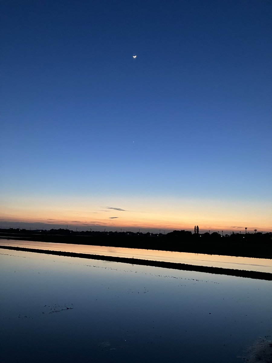 うーちゅ tweet media