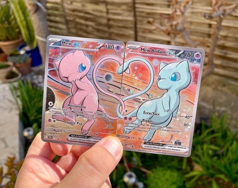 Pokémon Daily (@pokemon_dailyy) on Twitter photo 