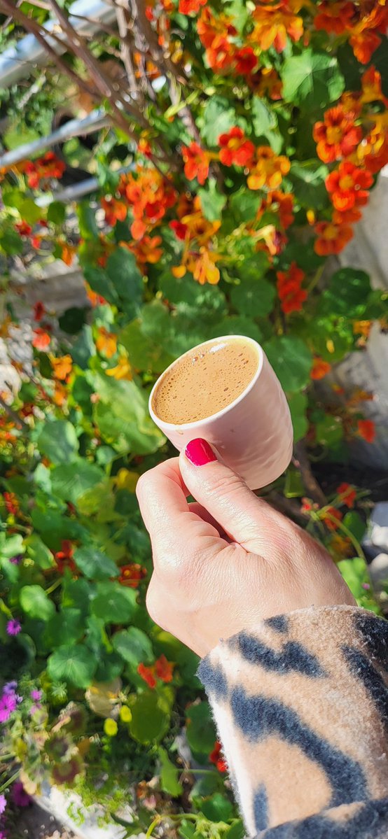 Sevdiklerinizle eksilmeden geçireceğimiz mutlu güzel aydınlık bir hafta olsun♾️🎈🪁
#tünaydınlar ❤️☺️🙏
#pazartesi