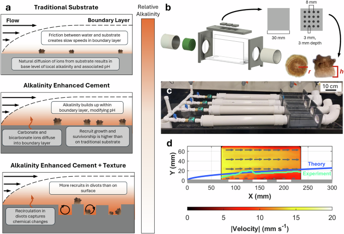 CommsEarth's tweet photo. Alkalinity-enhanced artificial substrates modulate local pH and increase survivorship of early-stage coral recruits https://t.co/rCu3o2zFil https://t.co/Bqpy15zTvX