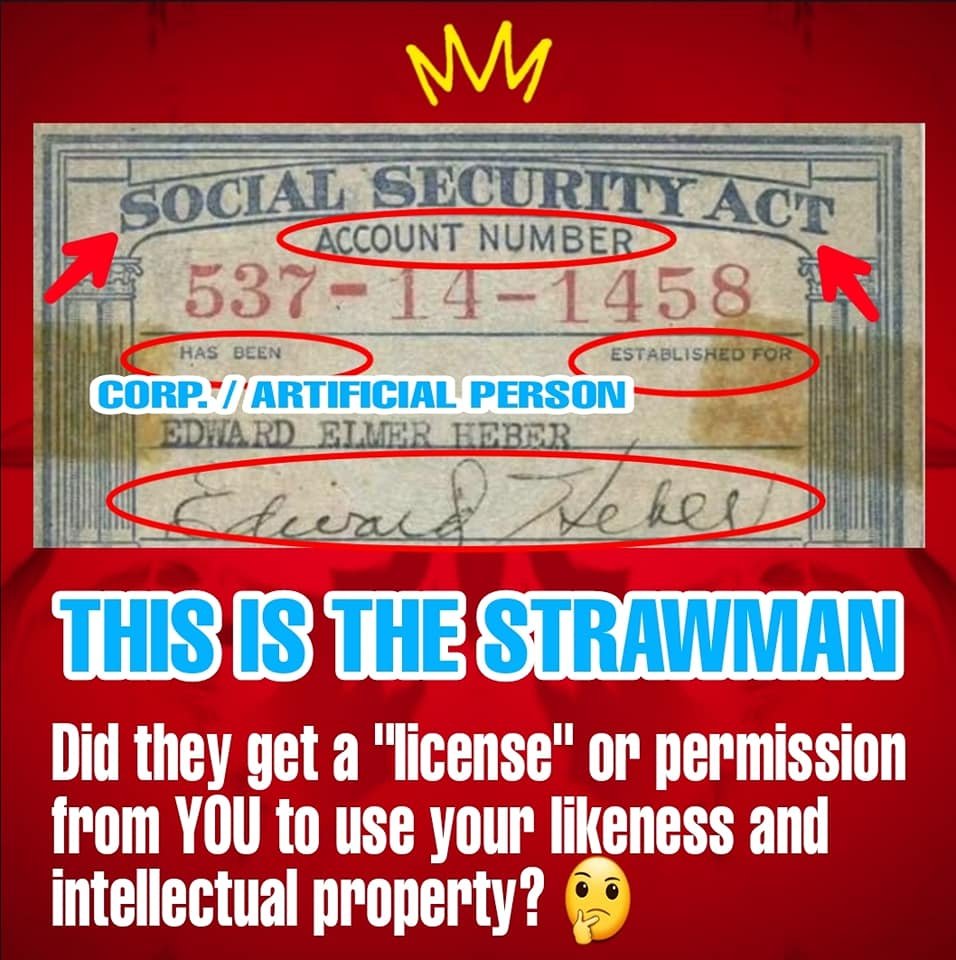 Michèle Ferris tweet media