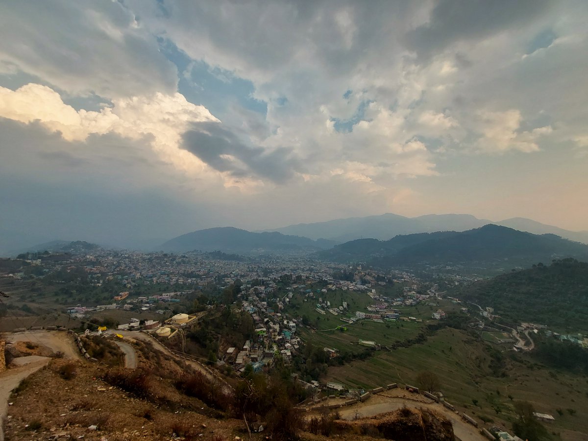 Nature Lover tweet media