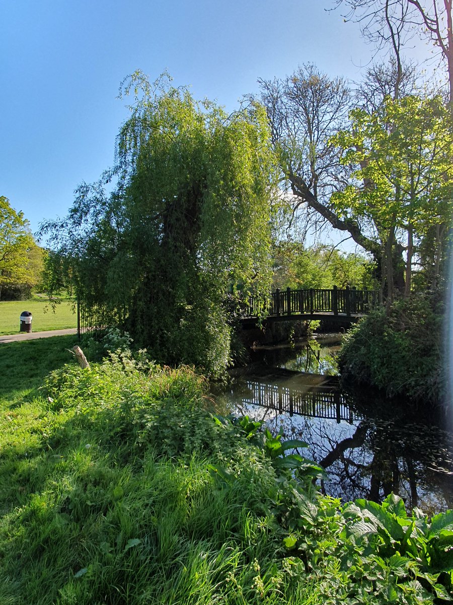 KeroBlack's tweet image. Out an about again 😊
Part 2
#nature #walk #trees #Sunshines