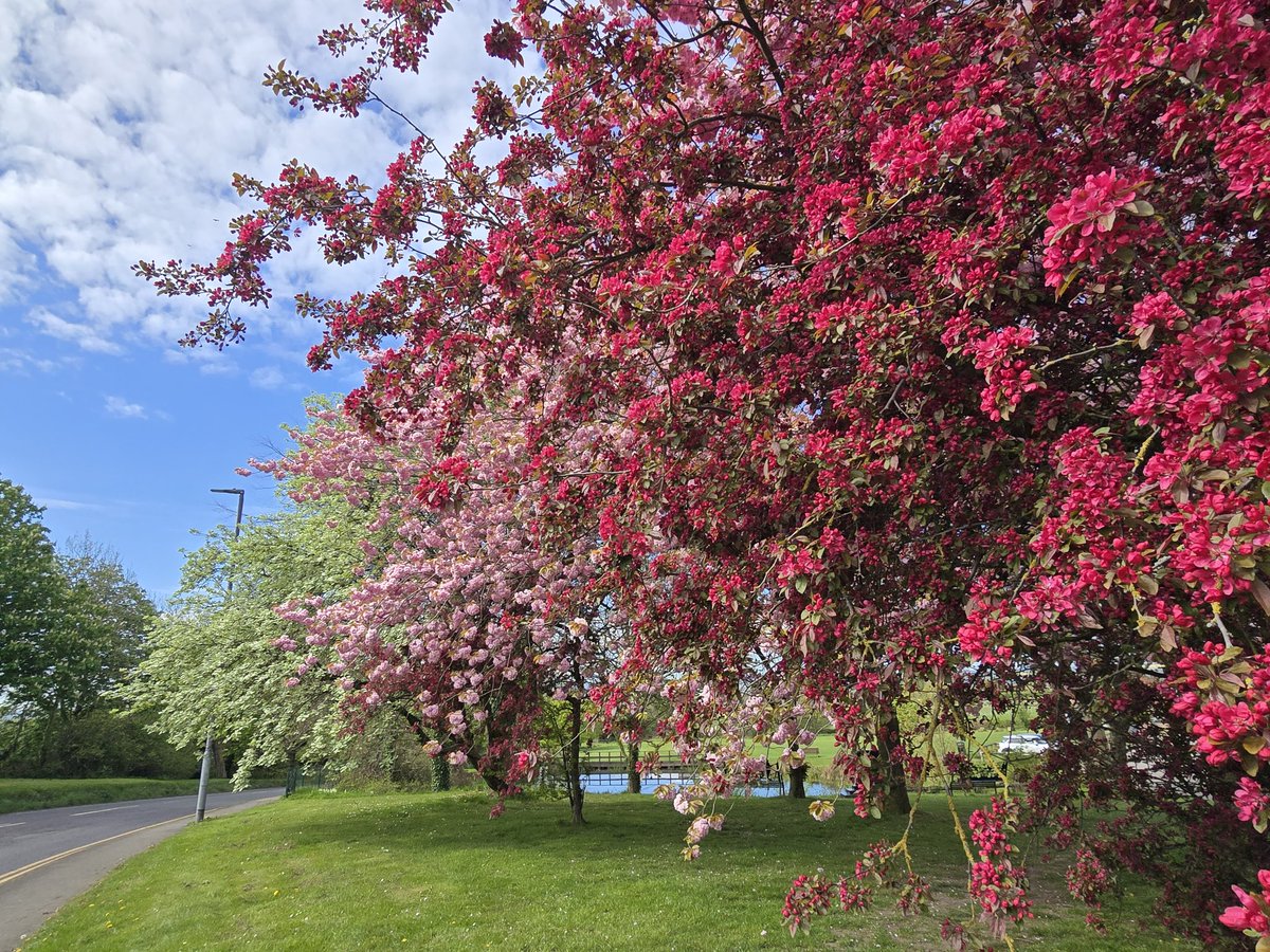 SBillcliffe's tweet image. Out n about enjoying the sunshine in ryhill Wakefield @kerriegosneyTV @itvweather @KeeleyDonovan @Hudsonweather @SimonOKing @bbcweather @Expwakefield @MyWakefield @WakeExpress @journoLeanneC @WkfdOfficial @ThePhotoHour @metoffice #loveukweather @Schafernaker #mackerelsky #clouds