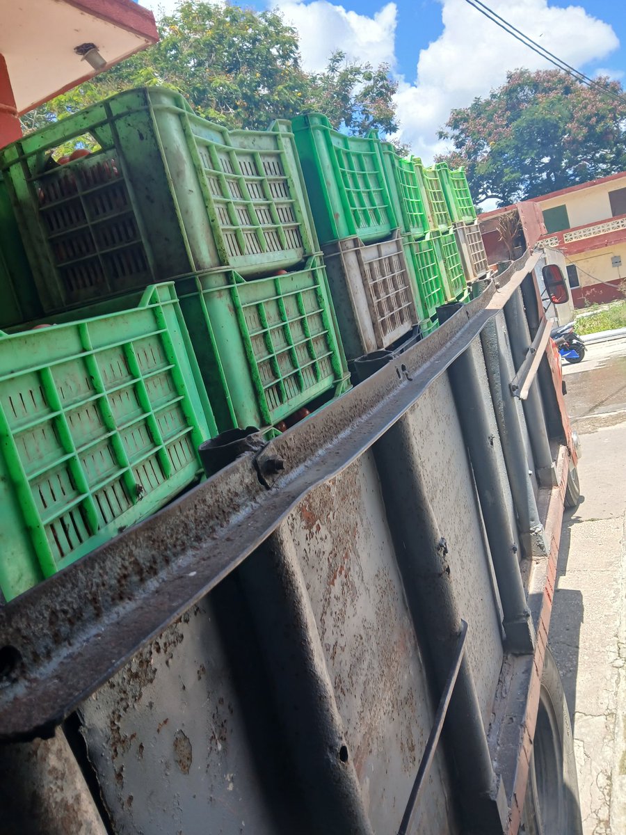 RBodano14539's tweet photo. Combinado Cárnico de Bayamo se transforma en una Fábrica de alimentos y aprovecha campaña del tomate.#SomosVallerojo https://t.co/fjarP6BdCT