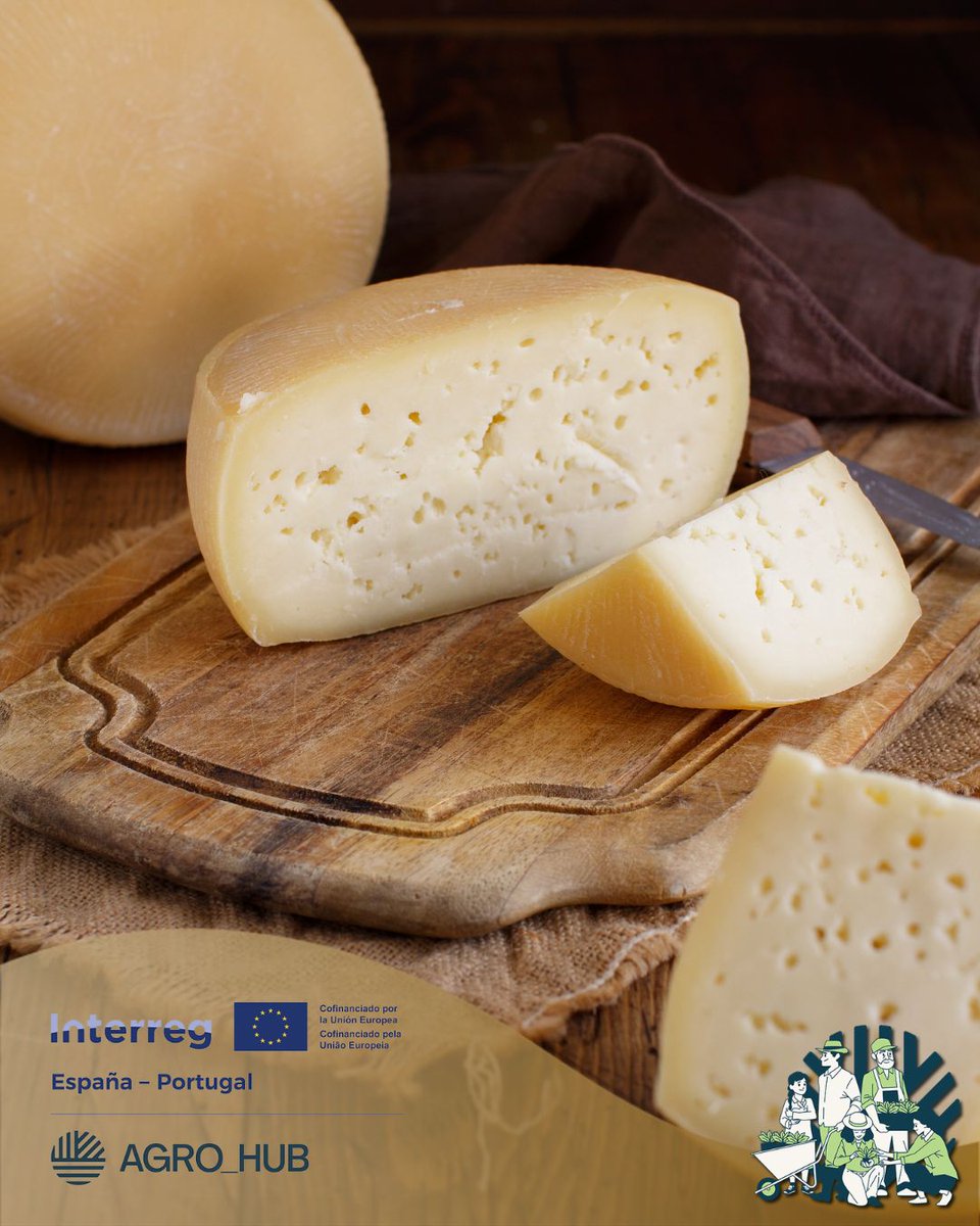 Agrohub_'s tweet photo. O Queijo de Cabra Transmontano é produzido a partir de leite de cabra, apresenta um sabor intenso e aromático.
Distingue-se de outros queijos pelo seu aroma profundo e textura cremosa.
@interreg_eu
@aimrd
@poctep
@patrimoniojcyl
@UVa_es
@camaradezamora
@PolitecnicoVis
@cim_douro https://t.co/QYL97Xrwxl
