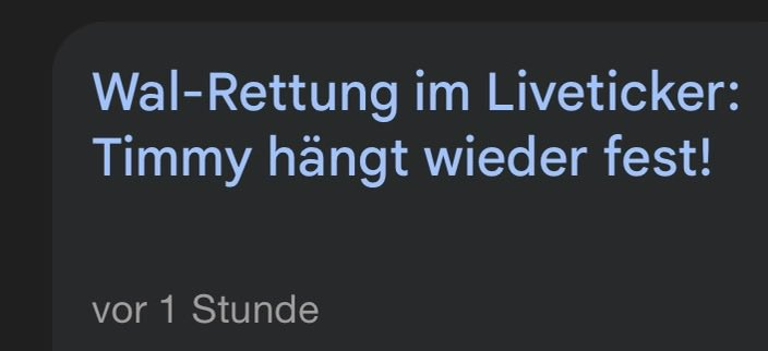 💀Nie Kohle🦇 tweet media