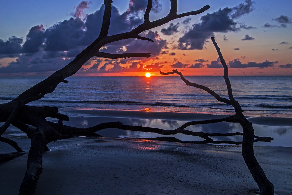 M1k3y63's tweet image. Good Monday morning from the great state of South Carolina! 🌞

Hunting Island