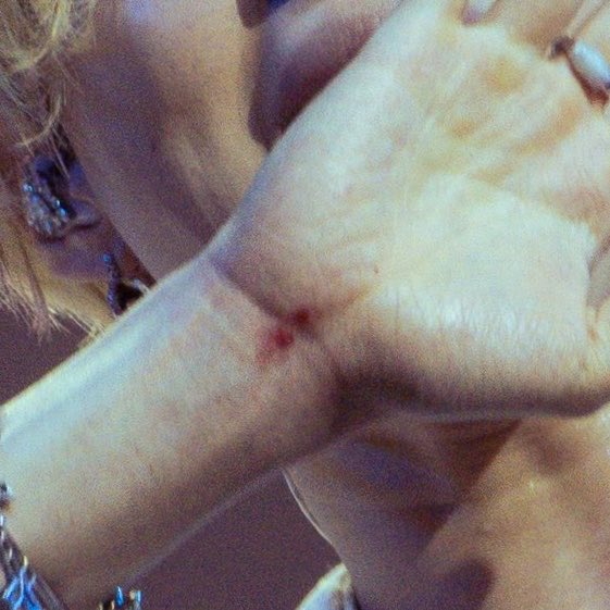 Apetimus Primate tweet media