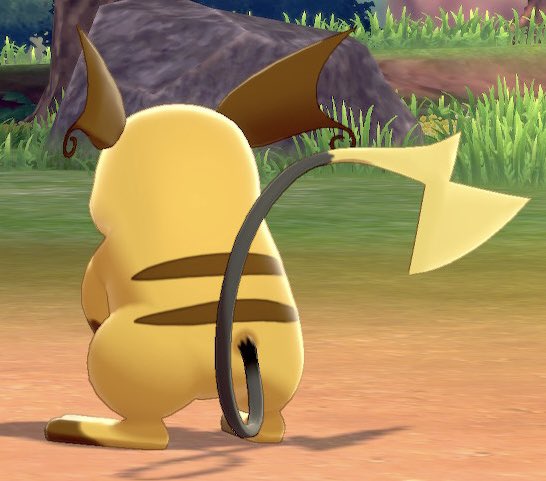 Raichu tweet media