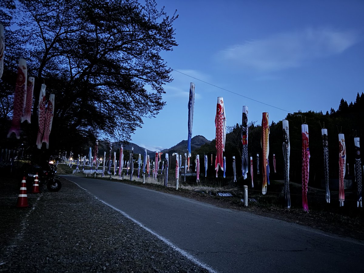 たいすけ。 tweet media