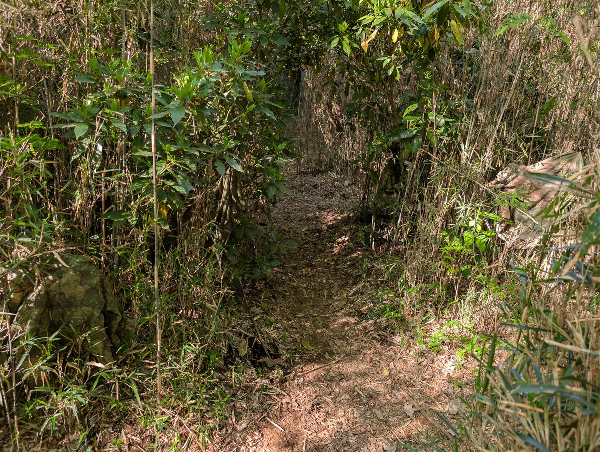 りょぶ tweet media