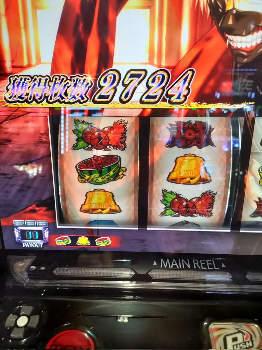 Haru🧘🦍💪 tweet media