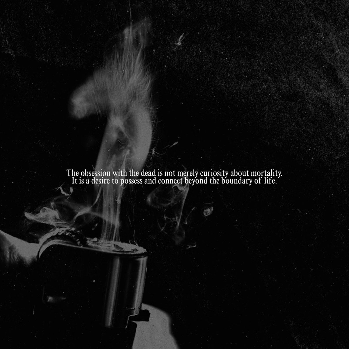 SOC-IE 💛 ˚☽˚.⋆ tweet media