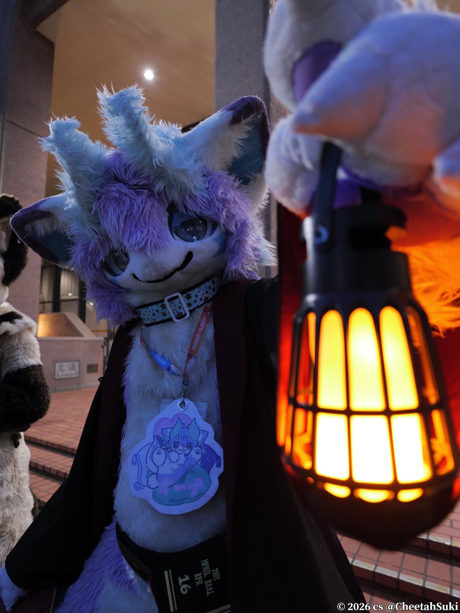 CheetahSuki's tweet photo. #はつじゅー会16 #FursuitsEveryday #BluePaws https://t.co/2UjdC4uPMs