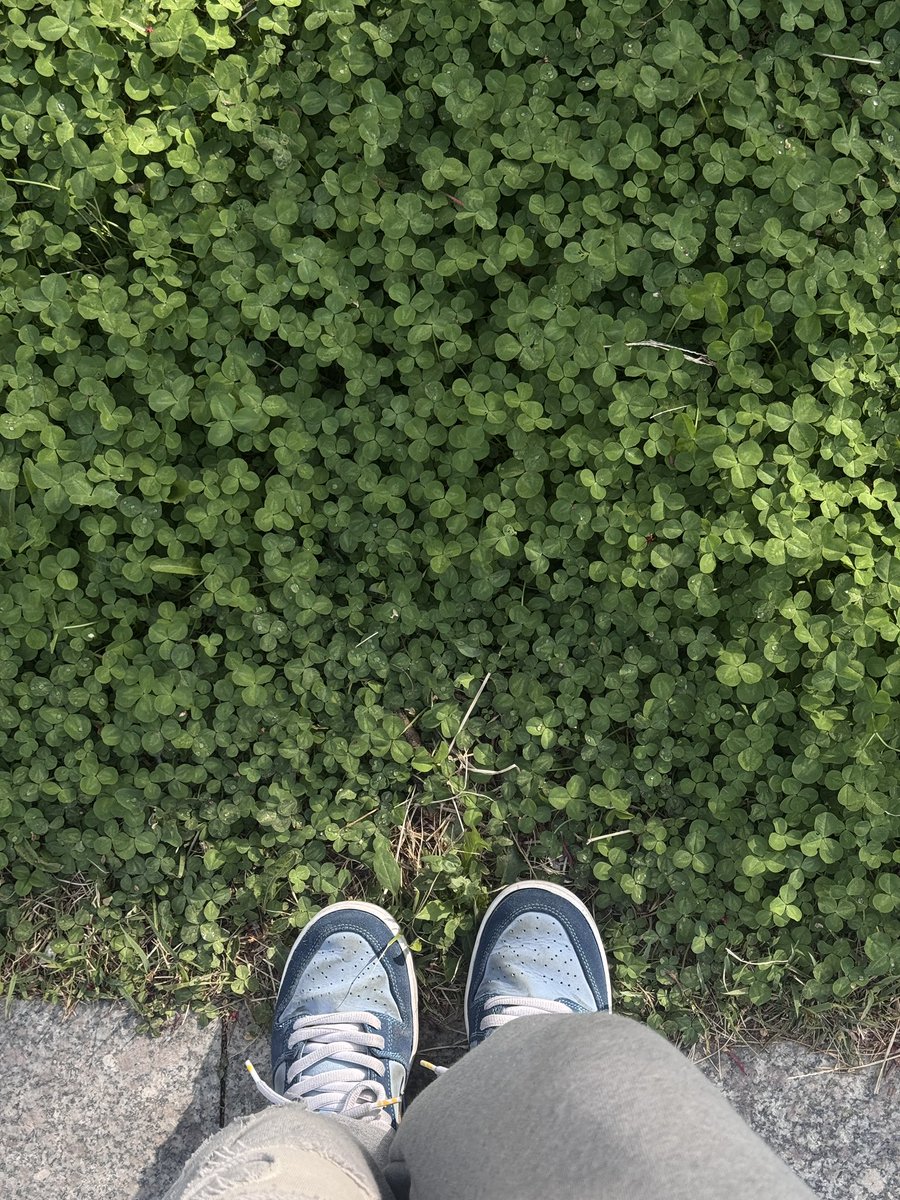 오뎅𖦹l tweet media