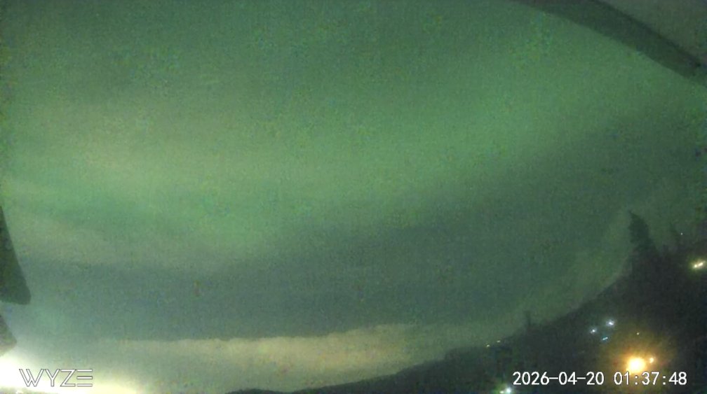 AuroraNotify tweet media