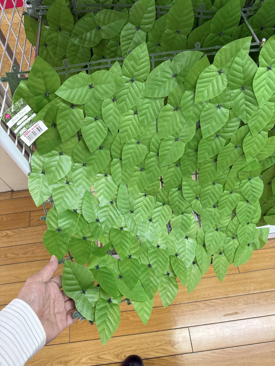 めなぞ～る♪ tweet media