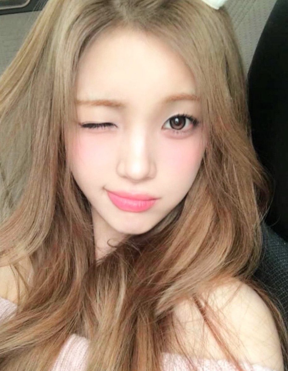 YUHA tweet media