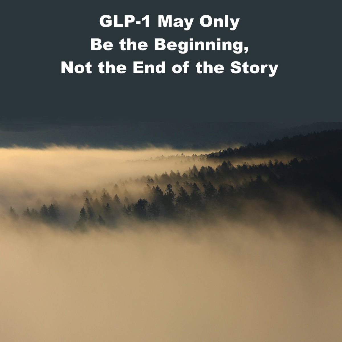 GLP-1 agonists have taken the world by storm – bringing a radical reconsideration of thinking about the role of medicines in obesity treatment. Richard DiMarchi and <a href="/MatthiasTschop/">Matthias Tschöp</a> suggest in a new paper that this is only a start. 
conscienhealth.org/2026/04/20/glp…