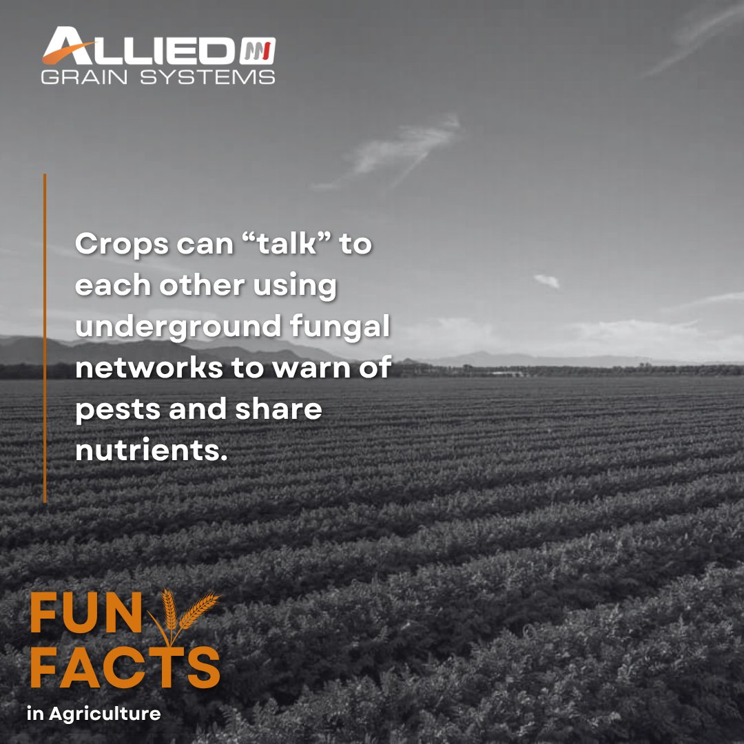 Allied Grain Systems tweet media