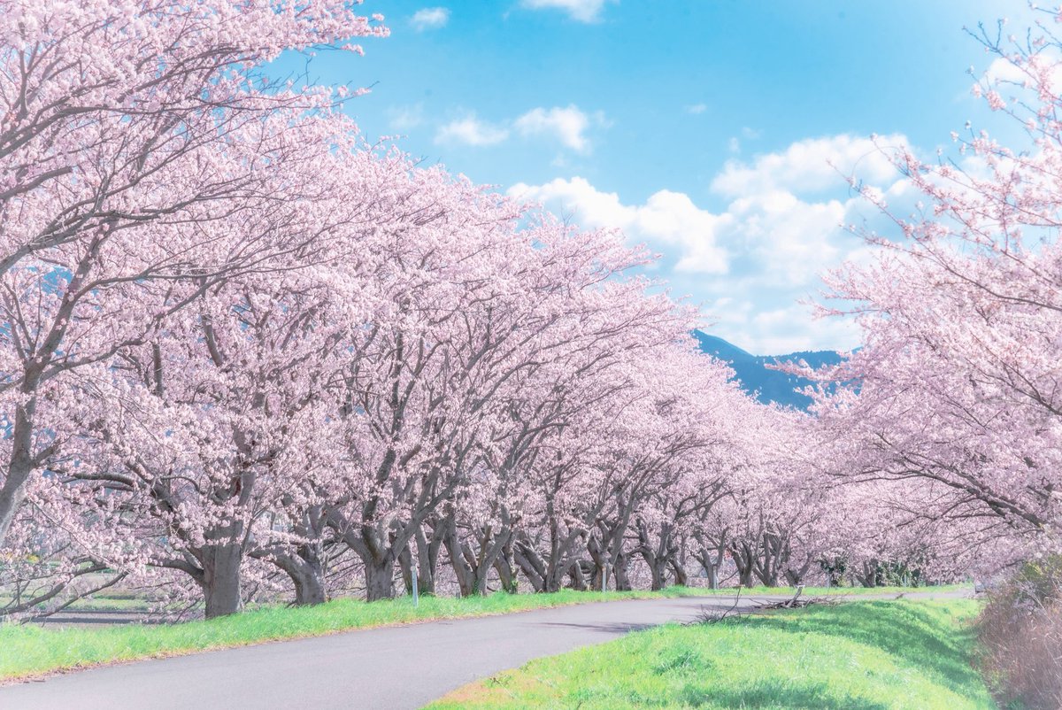 とうや tweet media