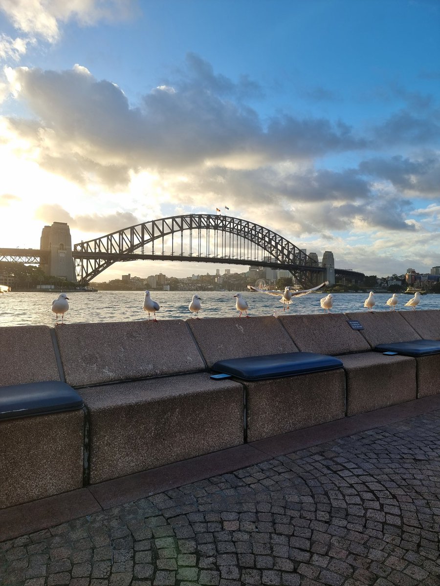 갈매기들 이렇게 대기 타고 있다가 누가 망 거둔 상태로 음식 남기고가면 달려들어서 다 쳐먹고 감