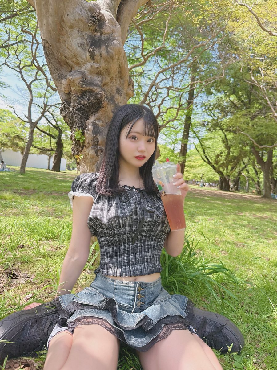 白瀬はる - Tohkei tweet media