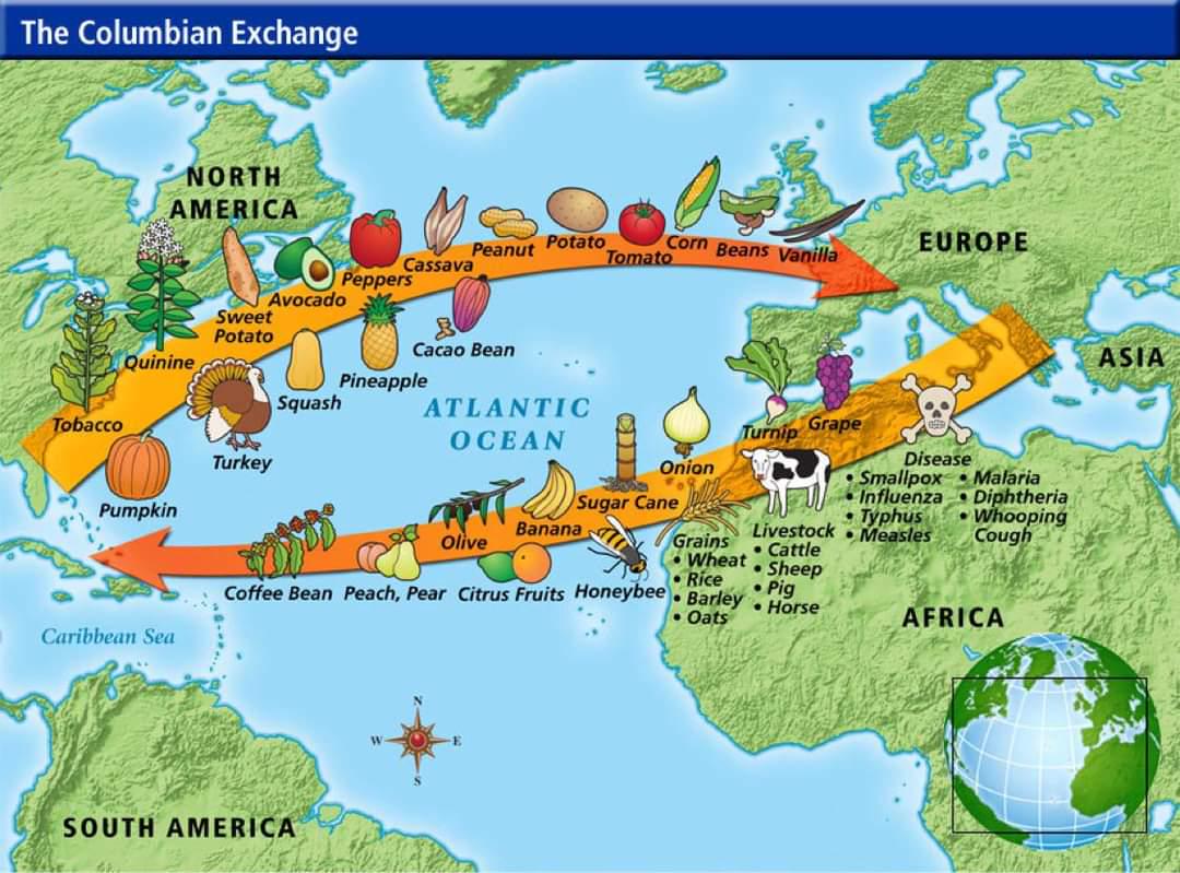 BrilliantMaps's tweet photo. Map Of The Columbian Exchange

More about it: https://t.co/Yy5ncROHms https://t.co/shmhEcQOod