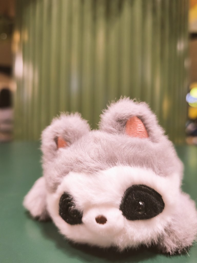 louccoon's tweet photo. My baby gave me my bday present early hehehehe raccoooon https://t.co/lCByvcq2ea
