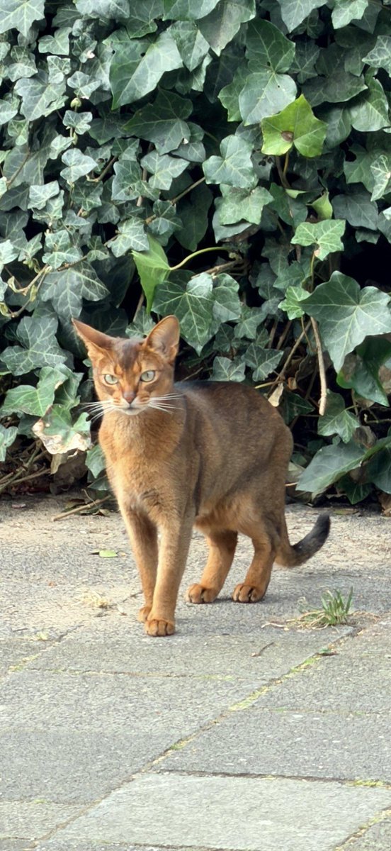 Wholesome Side of 𝕏 tweet media