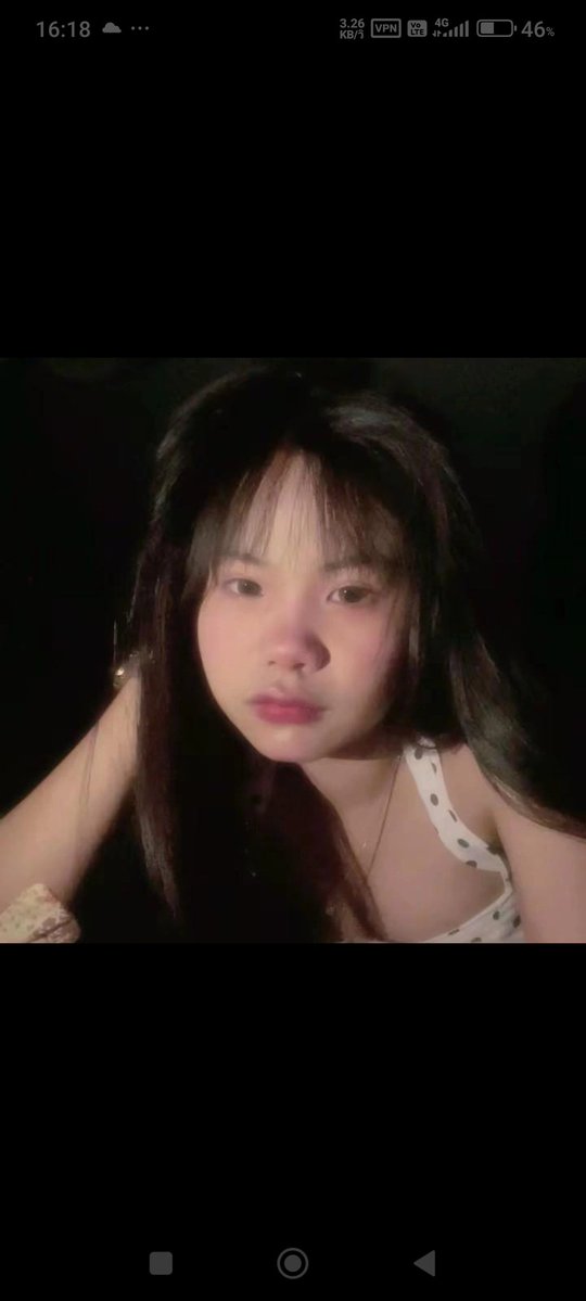 แมว tweet media