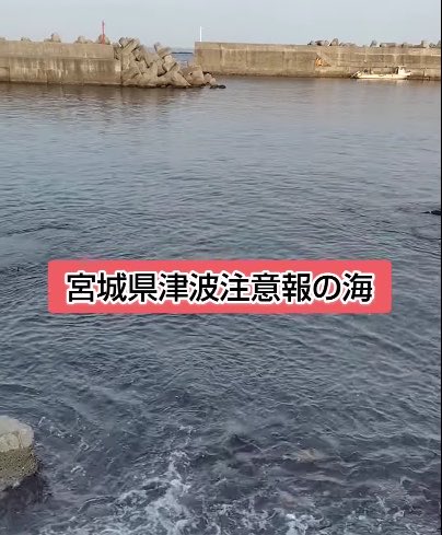 💕🐈🐈YouTuberマッサと兄弟猫のナギとフウ専門垢🌊🐟💕 tweet media